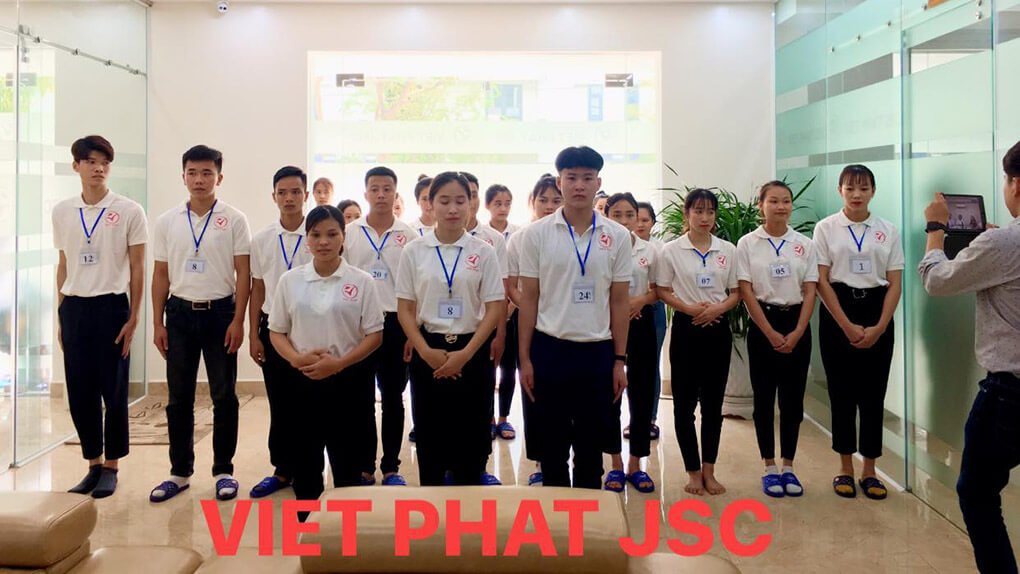 Công ty cổ phần phát triển nhân lực Việt Phát tuyển dụng
