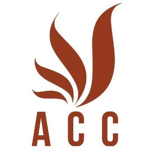 Tuyển nhân viên kế toán tại Quảng Bình – Công ty Kiểm toán và Kế toán AAC tuyển dụng